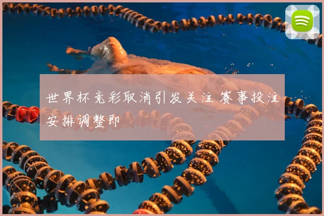 世界杯竞彩取消引发关注 赛事投注安排调整即
