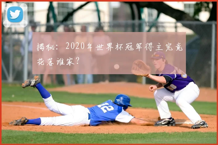 揭秘：2020年世界杯冠军得主究竟花落谁家？