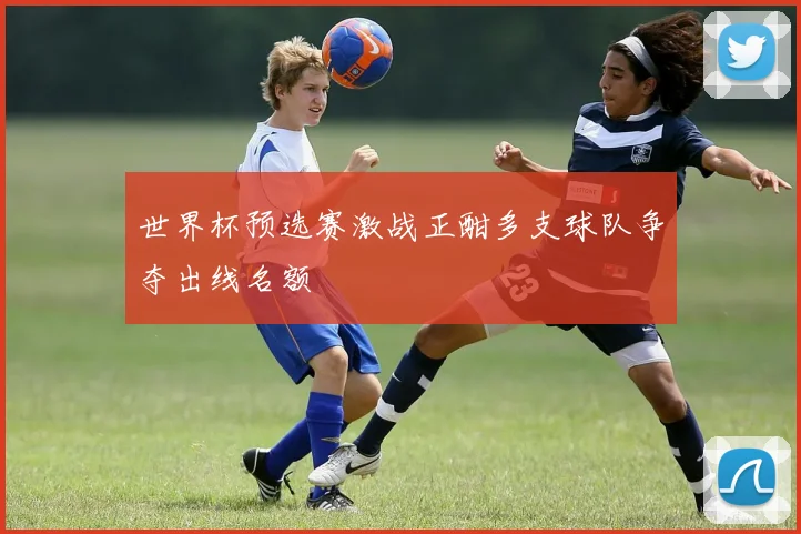 世界杯预选赛激战正酣多支球队争夺出线名额
