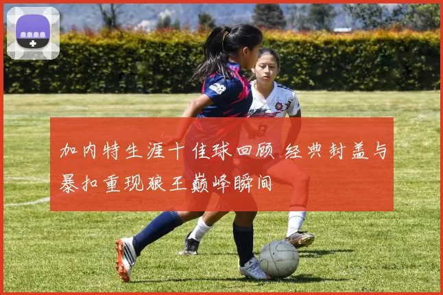 加内特生涯十佳球回顾 经典封盖与暴扣重现狼王巅峰瞬间