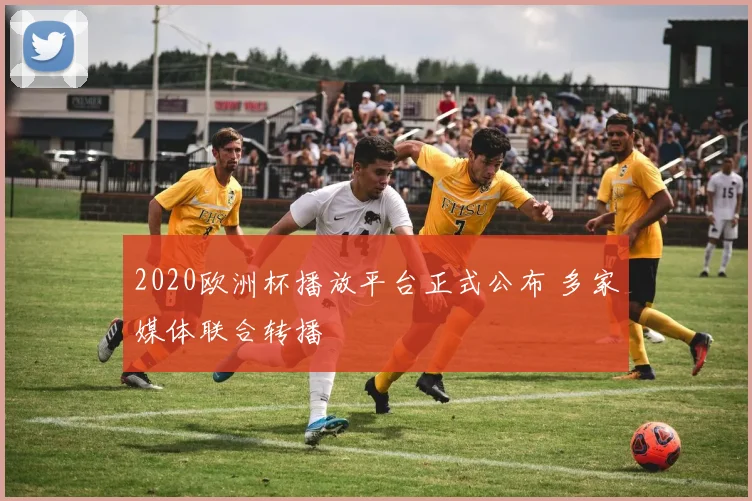 2020欧洲杯播放平台正式公布 多家媒体联合转播